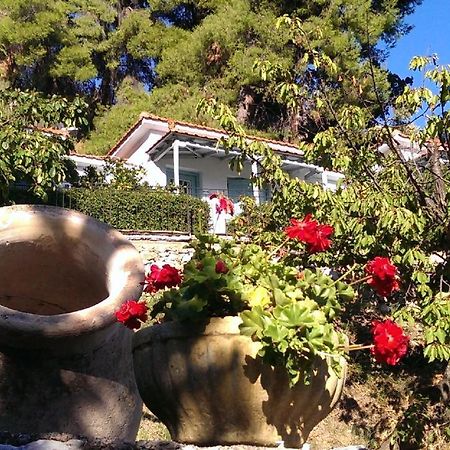 Sofia Holiday Studios Stafylos Zewnętrze zdjęcie