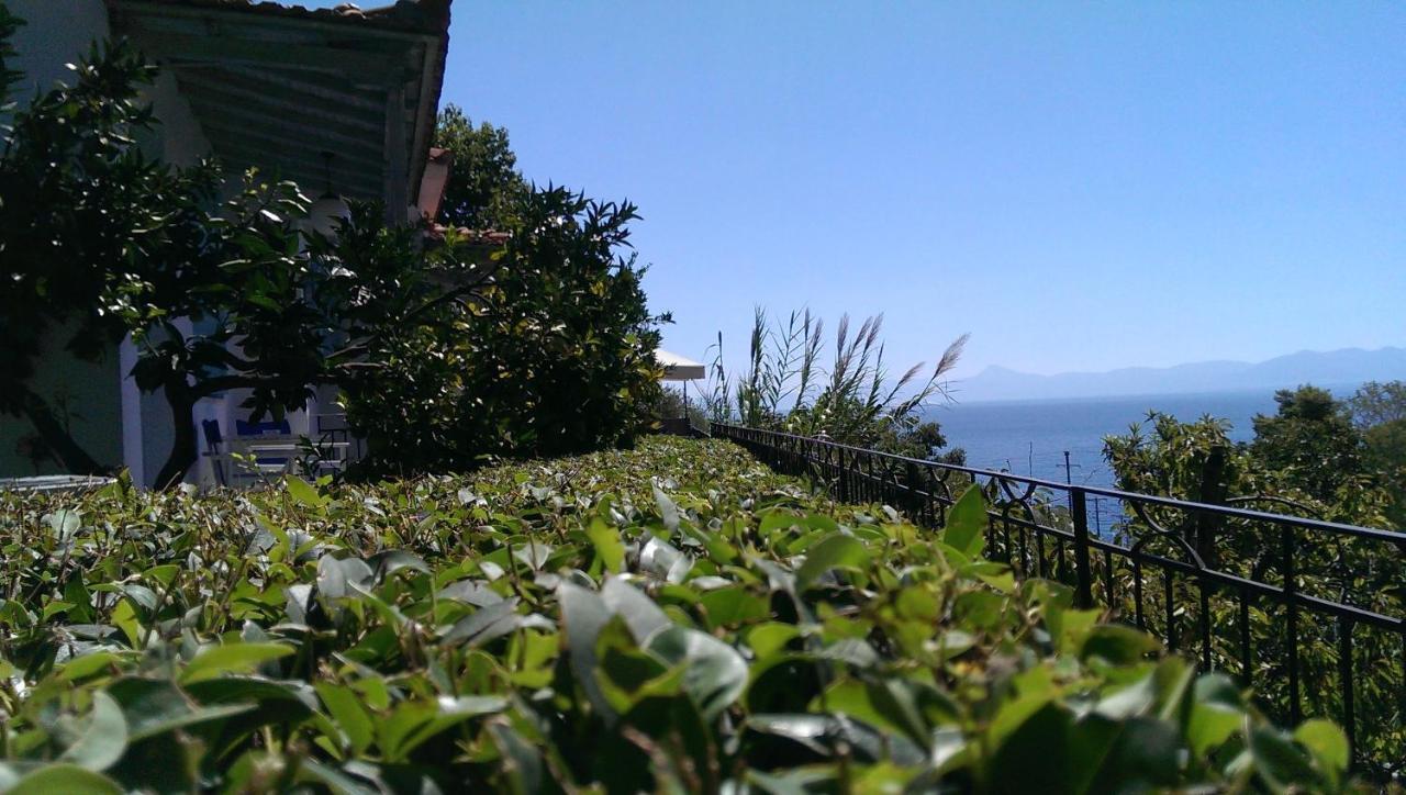 Sofia Holiday Studios Stafylos Zewnętrze zdjęcie
