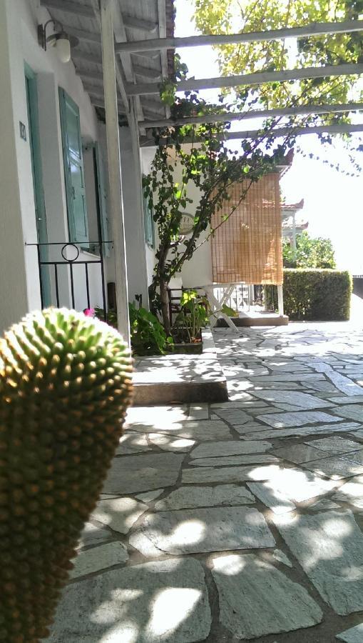 Sofia Holiday Studios Stafylos Zewnętrze zdjęcie