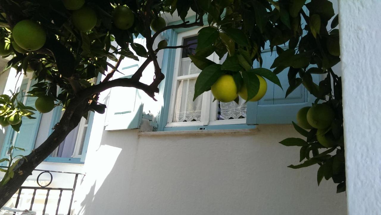 Sofia Holiday Studios Stafylos Zewnętrze zdjęcie